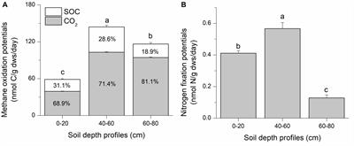 Active Methanotrophs in Suboxic Alpine Swamp Soils of the Qinghai–Tibetan Plateau